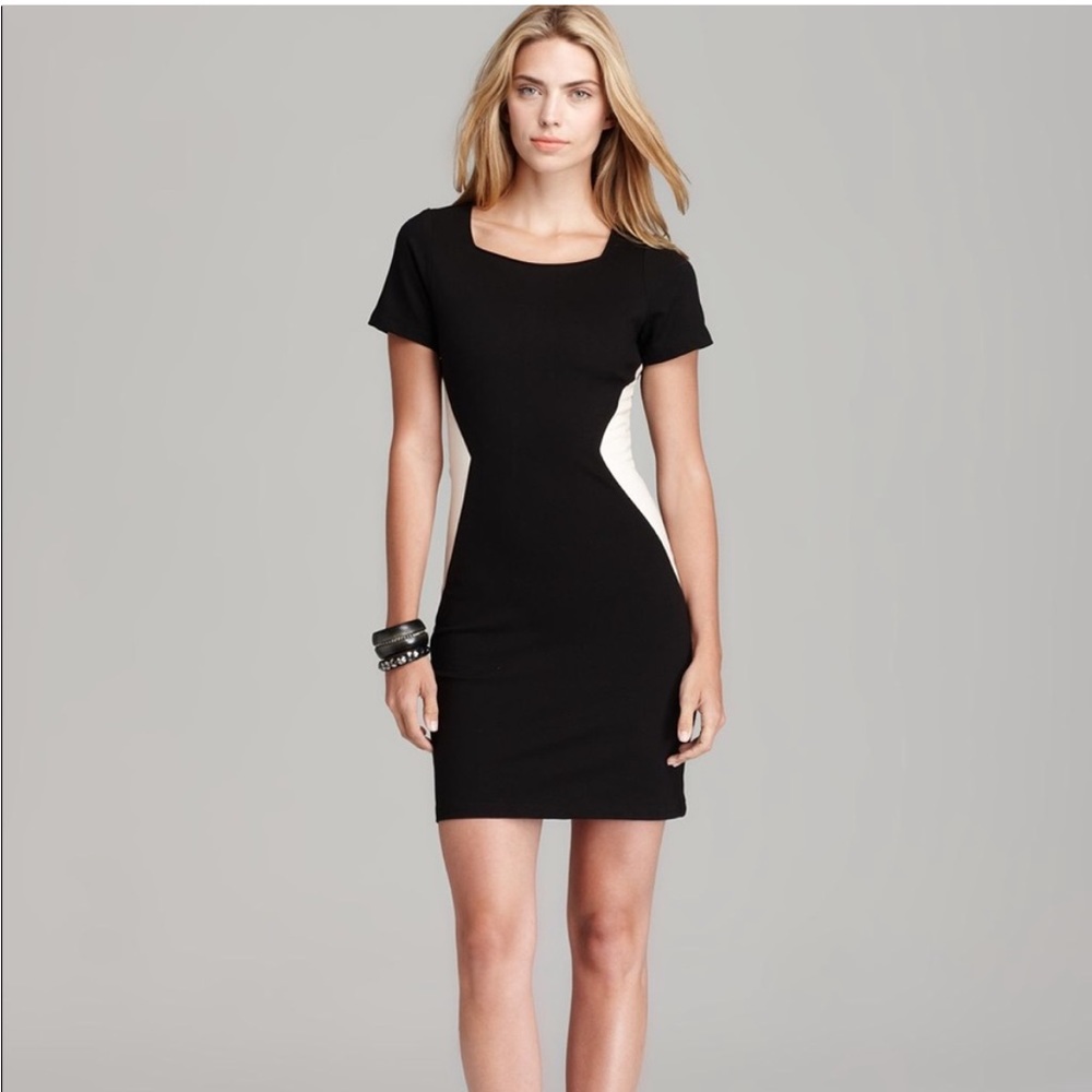 PJK Patterson J. Kincaid Dress